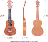 VIVICTORY Soprano Ukulele / 21 Inch / Mahogany / Aquila String / Beginner Kit 【Antler】