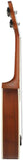 UBETA UB-21PA-N Mahogany Pineapple Soprano 21 Inch Beginner Ukulele Bundle with Gig bag, clip-on tuner, picks,Aquila strings chord card and strap