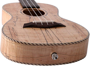 UBETA Concert Ukulele Spalted Maple UC-SM- 061 23 inch with Ukulele Set Strap Nylon String